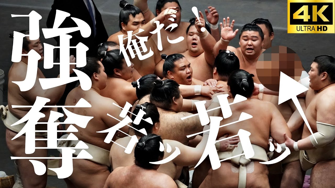 【稽古総見 比較編】嗚呼、佐田の海…。幕内強者に十両力士が挑む。琴ノ若を強奪！？独占するのは誰だ【大相撲 sumo】