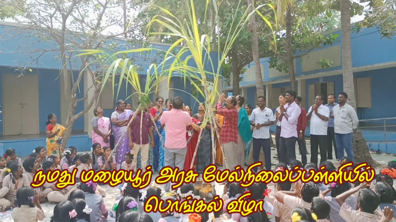 நமது மழையூர் அரசு மேல்நிலைப்பள்ளியில் பொங்கல் விழா || PONGAL CELEBRATION || GHSS MAZHAIYUR 