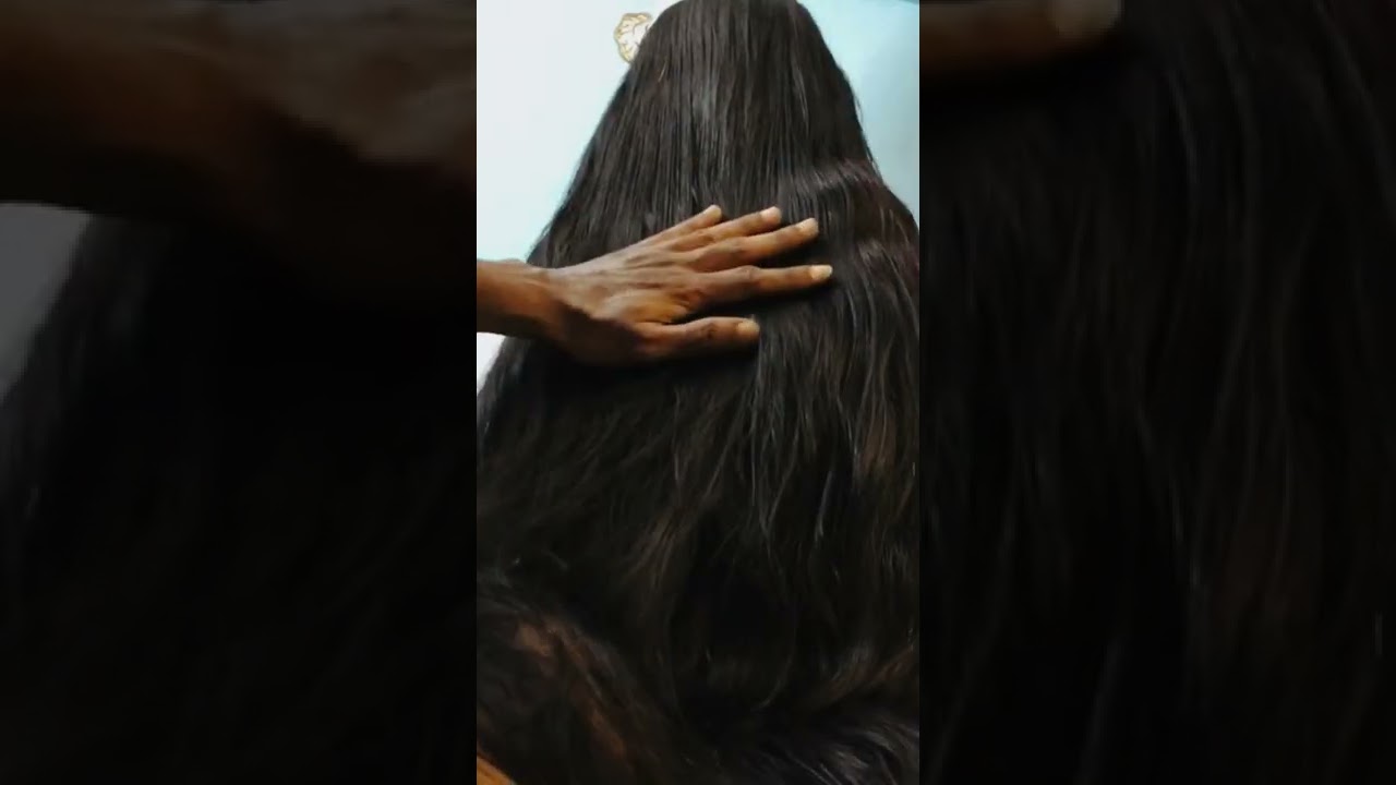 Beautiful Longhair Silky Mane gets Play Pulling Grabbing Brushing Braid Bun by Lucky Longhair LOVER