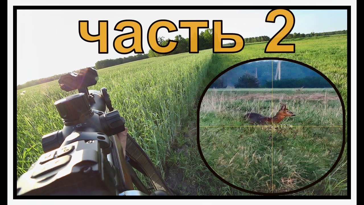 МЫ ЕГО НАШЛИ!Дневная и ночная СЪЁМКА с ПРИЦЕЛА  PARD DS35-70 LRF!Охота на самца косули.