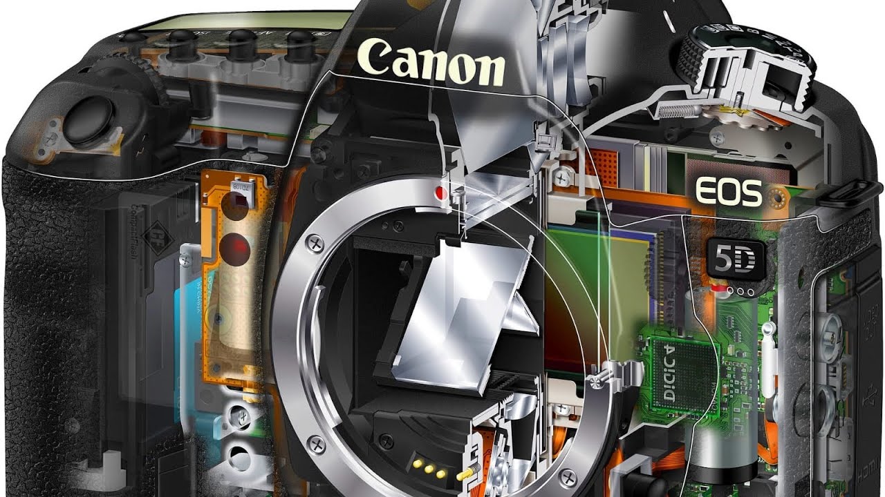 Canon 5D Mark lll SD Slat Repair #canon #repair #trending #viralvideo