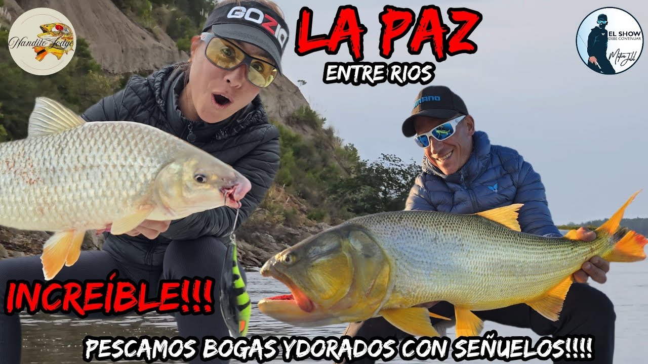 Picó una boga con señuelo ¡¡¡ INCREÍBLE !!!