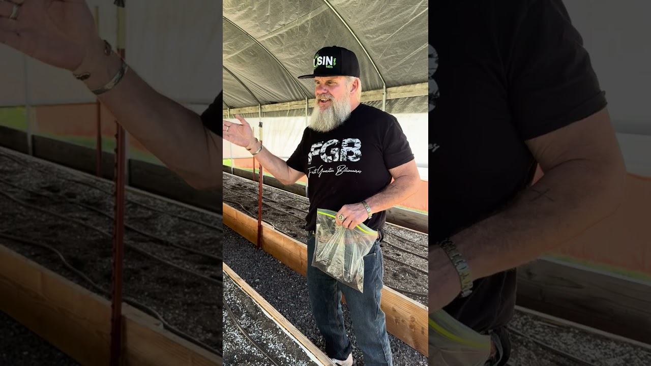 Soil King - Soil Test!