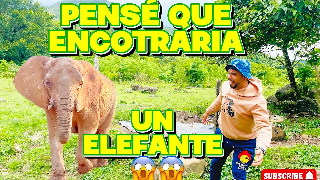 ASI ES LA VIDA, EN EL LUGAR MAS REMOTO 2/2  REPUBLICA DOMINICANA