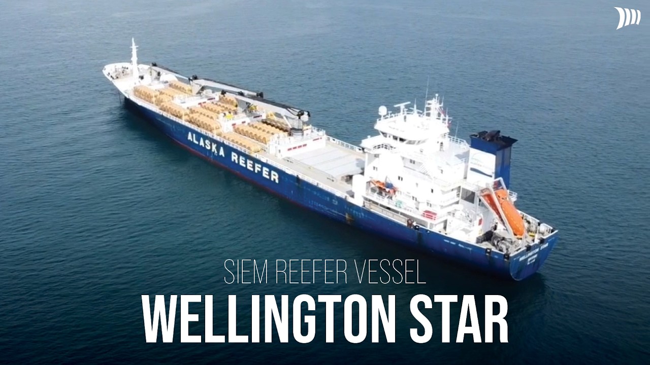 Vessel Highlight - Wellington Star