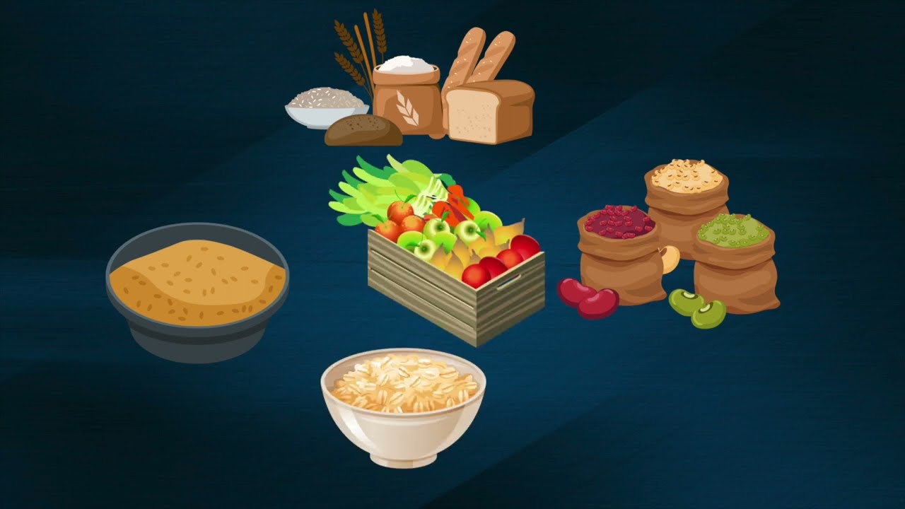 L'alimentation : L’assimilation des glucides