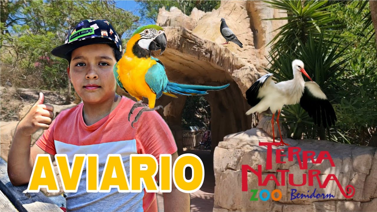 VISITAMOS EL AVIARIO EN TERRANATURA BENIDORM