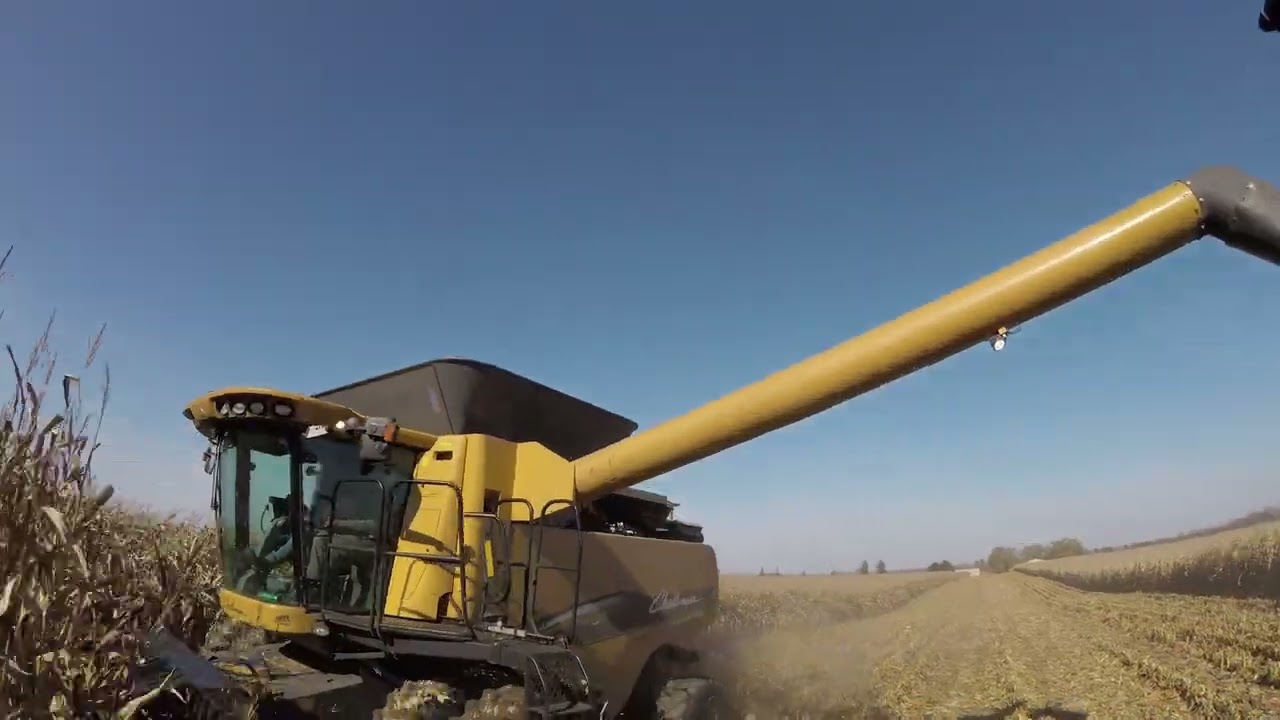 Duizer Corn Harvest 2023