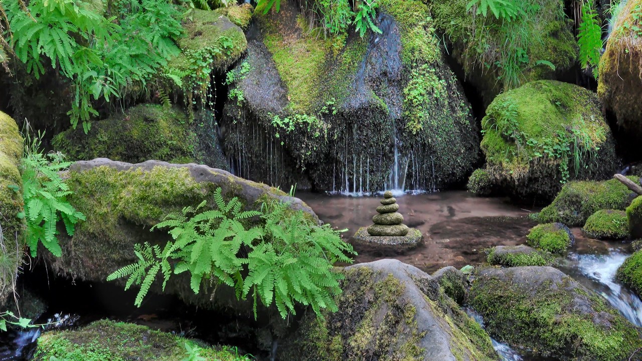 Musique de méditation au bord d’un ruisseau et d’une petite cascade ( sons de la nature )