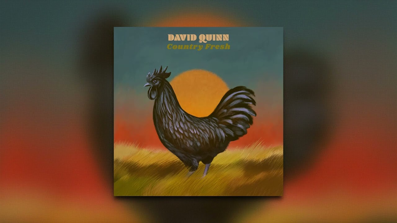 David Quinn - I Came Back To You (To Say Goodbye)