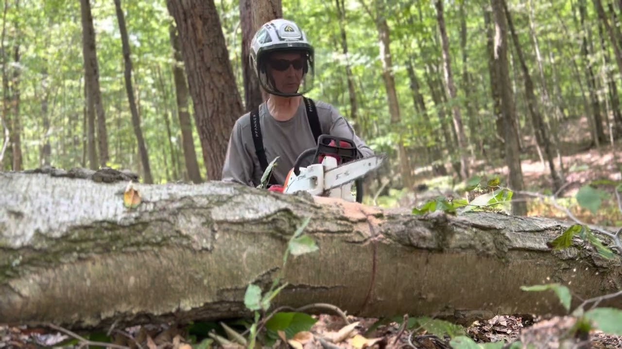 Sawyer Mission 37 pt 2 of 2 - bike path to AT to RD Harriman St Park trail clearing w/ Stihl MS-151