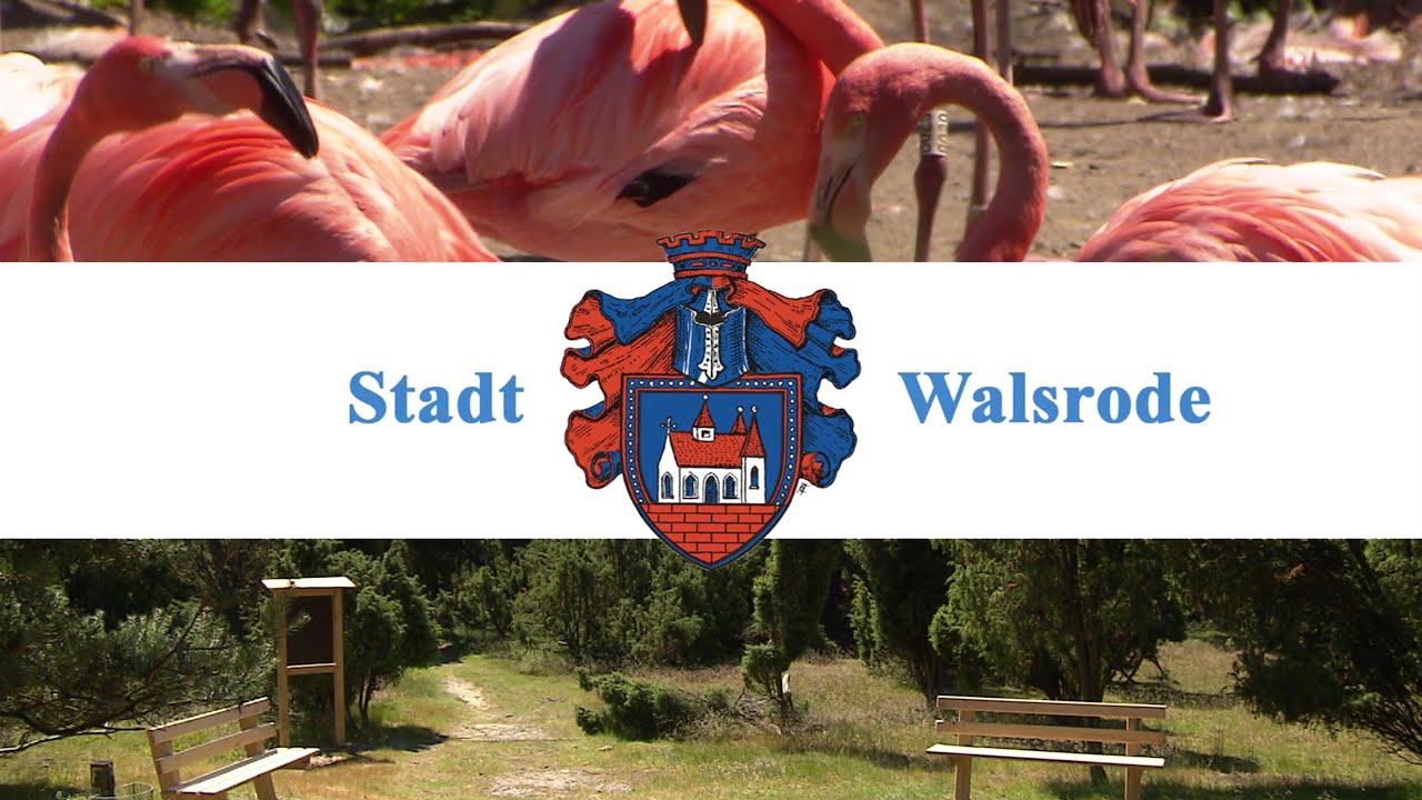 Stadt Walsrode