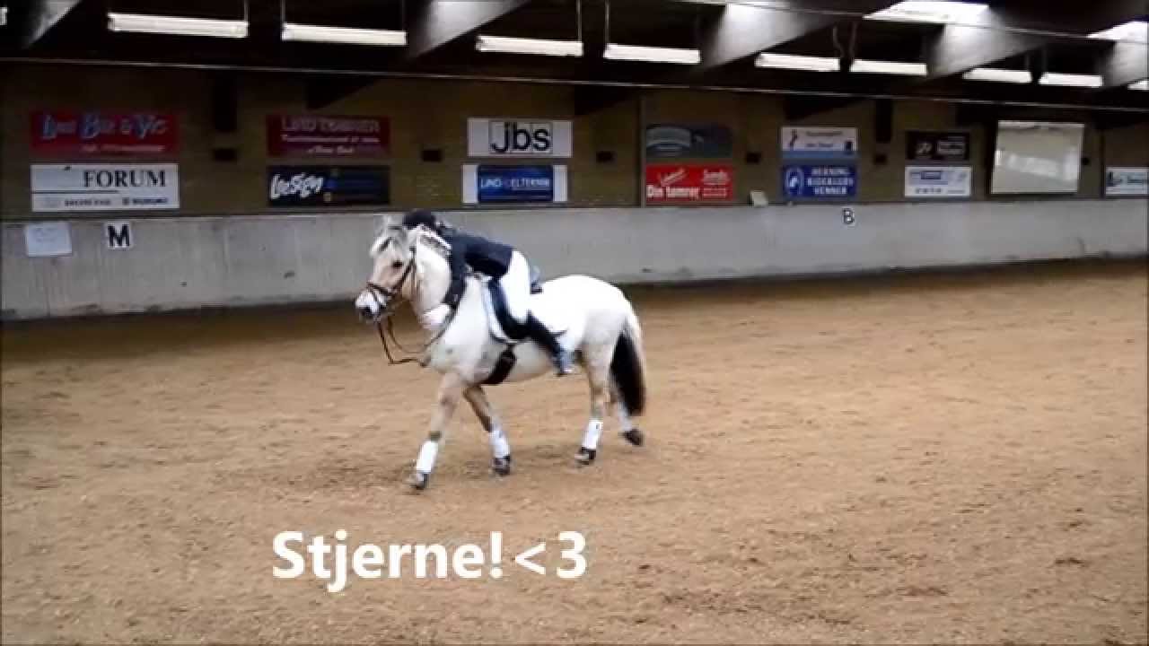 (Laura Krag Nielsen og Prins) LC1 i Herning