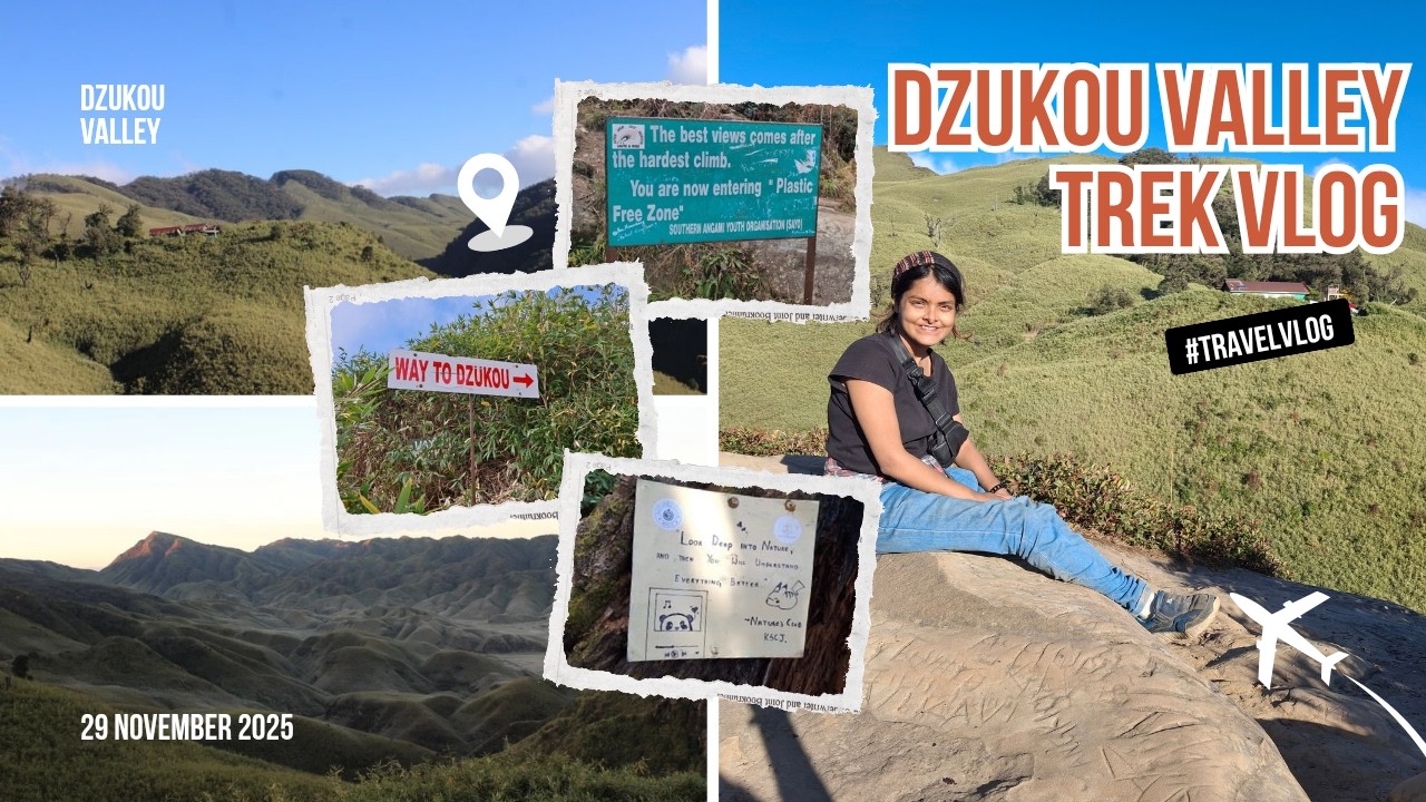 Nagaland Vlog Episode 2 : Dzukou Valley | Nagaland’s Best Kept Secret | Valley of Flowers of East