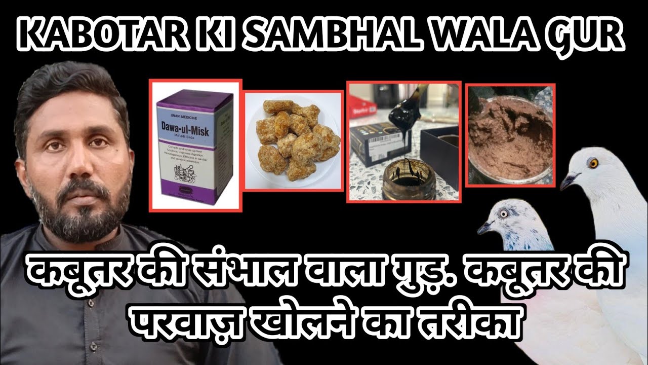 KABOTAR KI SAMBHAL WALA GUR|| कबूतर की संभाल वाला गुड़. कबूतर की परवाज़ खोलने का तरीका