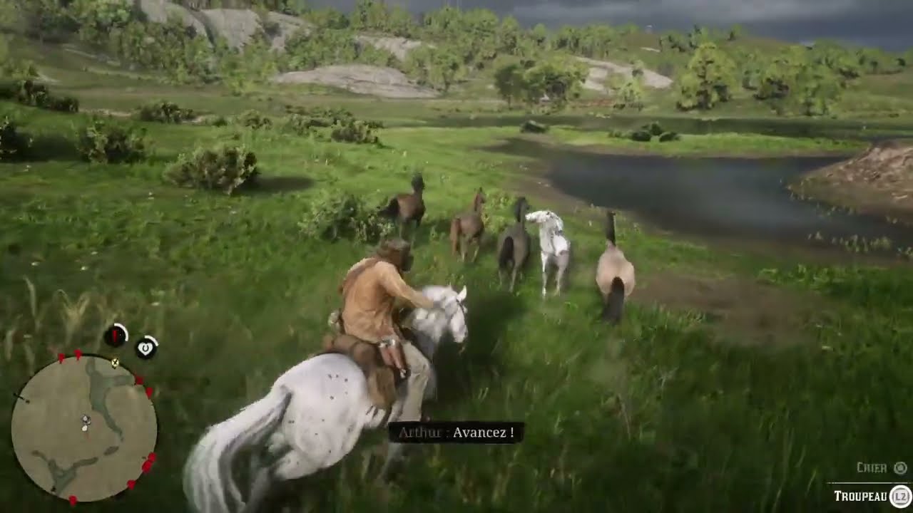 Red Dead Redemption II - #89 Chevaux sauvages