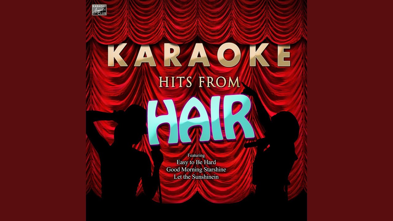 Where Do I Go (In the Style of Hair) (Karaoke Version)