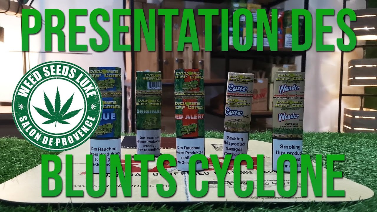 Pr&eacute;sentation des Blunts Cyclone - WEEDSEEDSLUXE