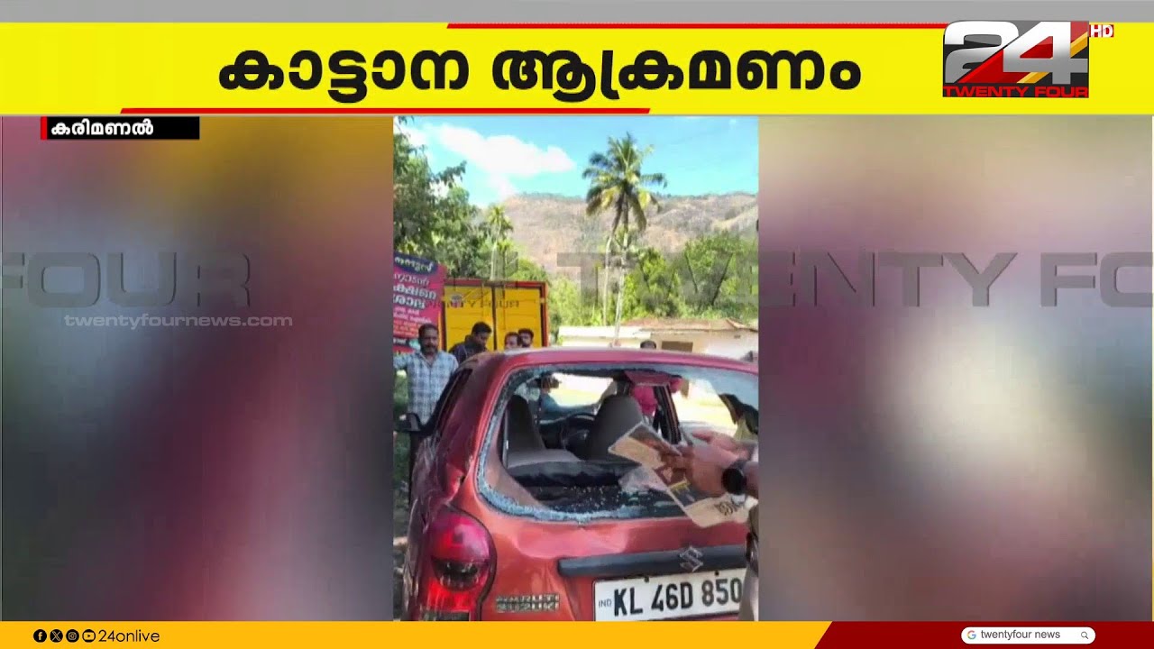 Wild elephant attacks family's car in Idukki | Idukki | Wild Elephant Attack