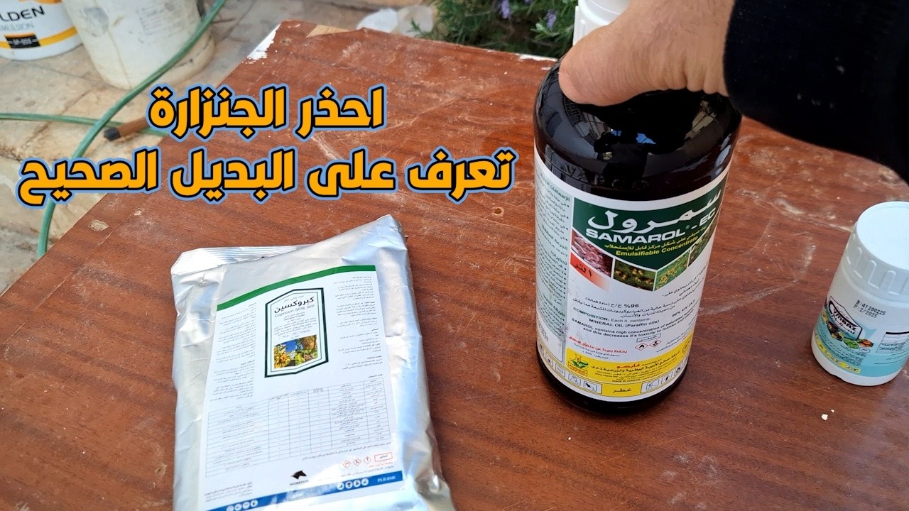 لا ترش الزيت الشتوي قبل مشاهدة هذا الفيديو! تعرف على البديل الآمن (احذر خطر الجنزارة )