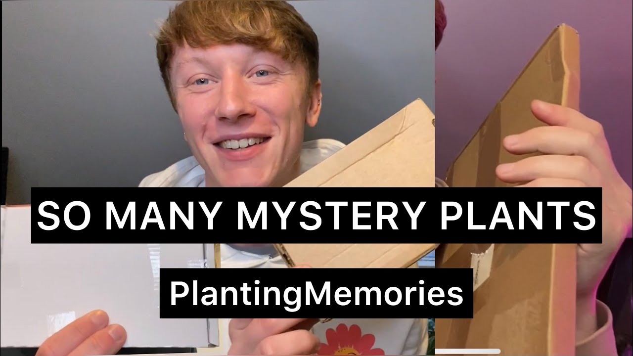 Etsy MYSTERY PLANTS | multiple unboxings!
