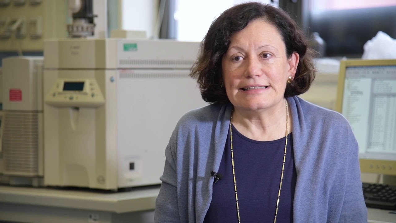 Presentazione del Corso di Laurea Magistrale in Scienze del territorio - Prof. Laura Bonati