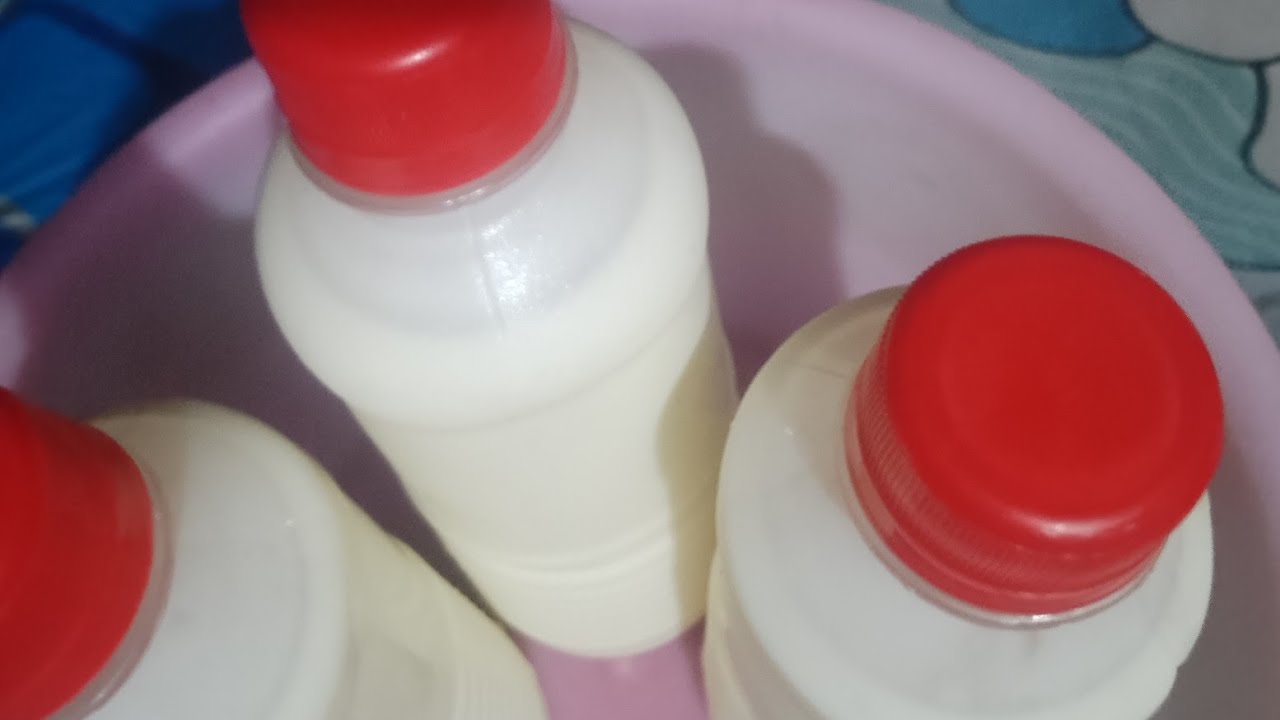 How to make yogurt at home with just two ingredients (Step by step)
