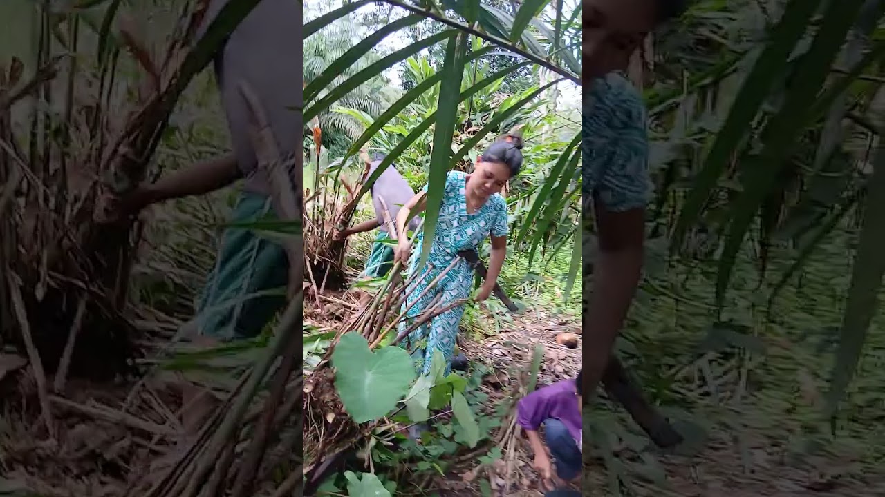 Ini ibu2 lagi pada cari rempah2 buat persiapan nikahan ribi  & selamet