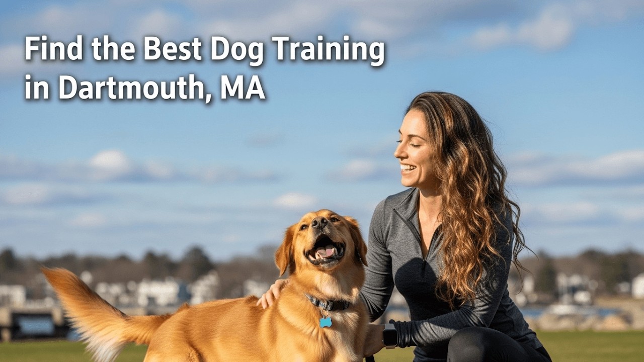 Find the Best Dog Training in Dartmouth Massachusetts