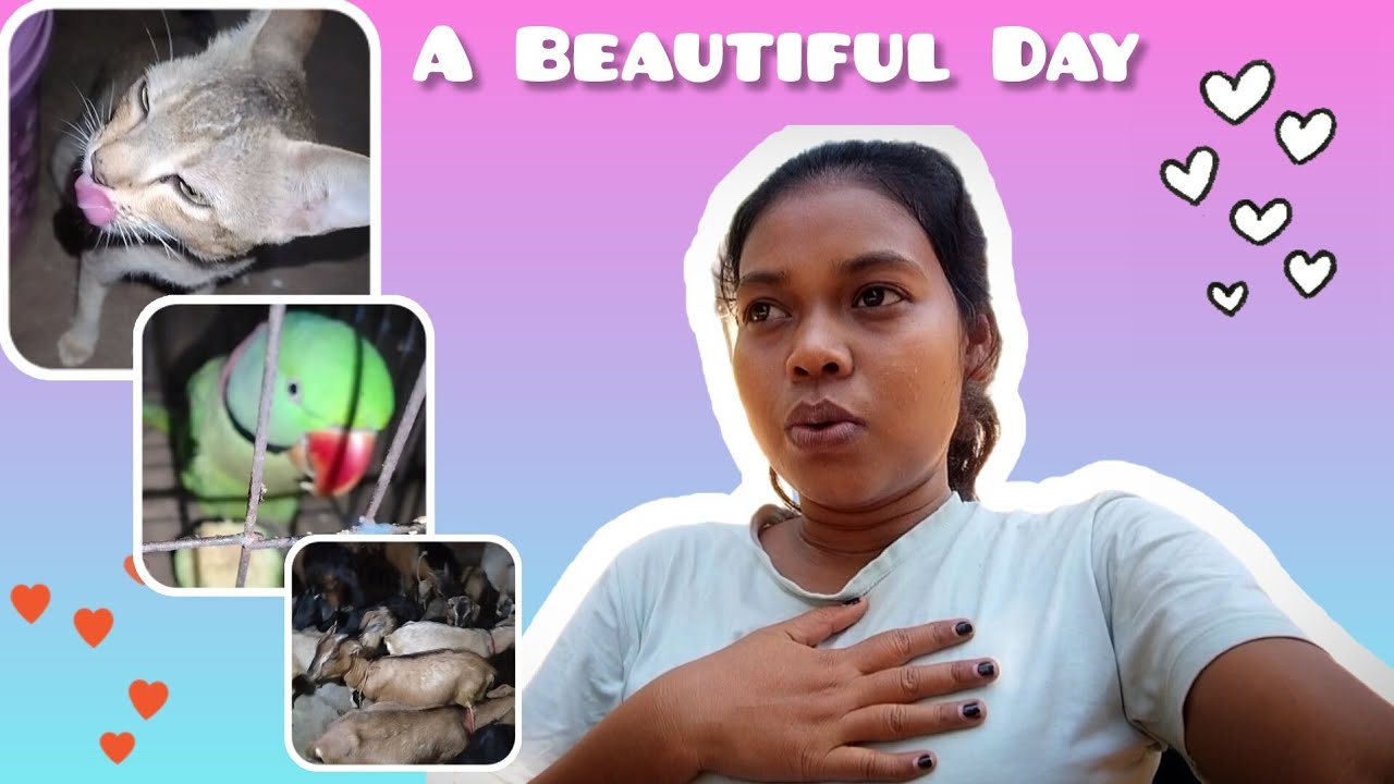 A Beautiful Day With Beautiful persons #gaon ka life #beautiful nature #nilima baa vlogs