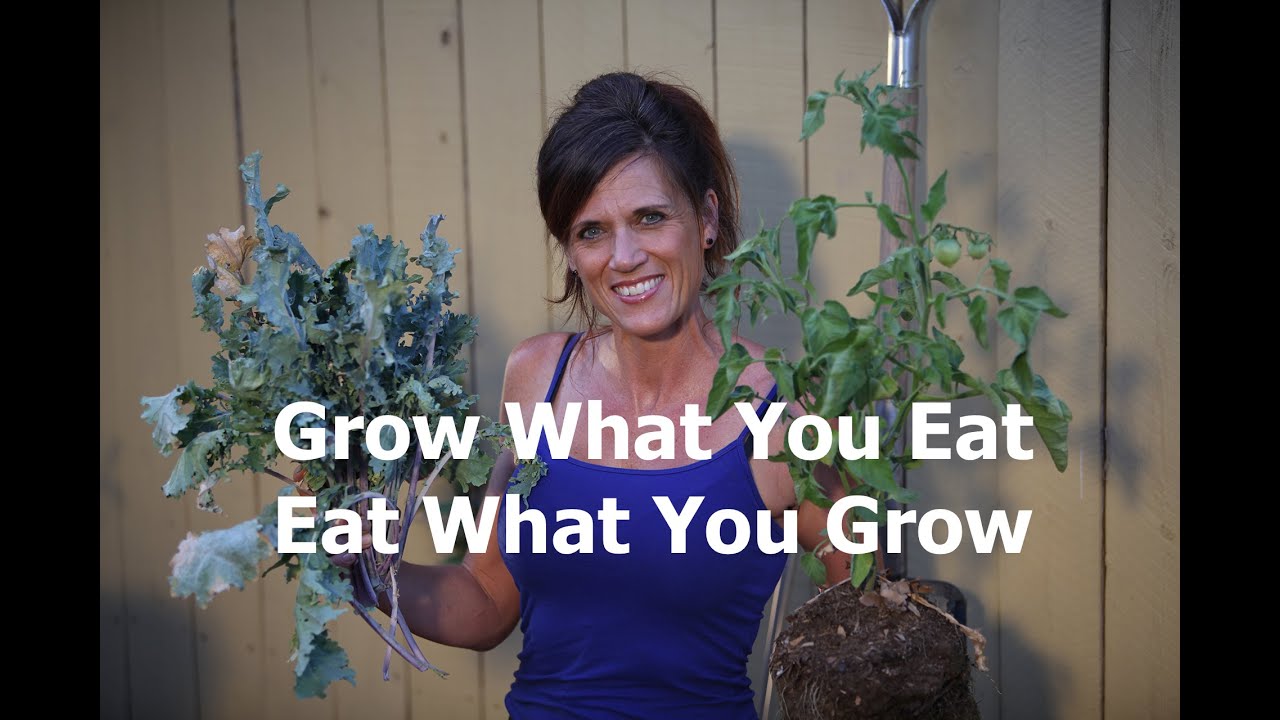 Grow What You Eat - Eat What You Grow Kale