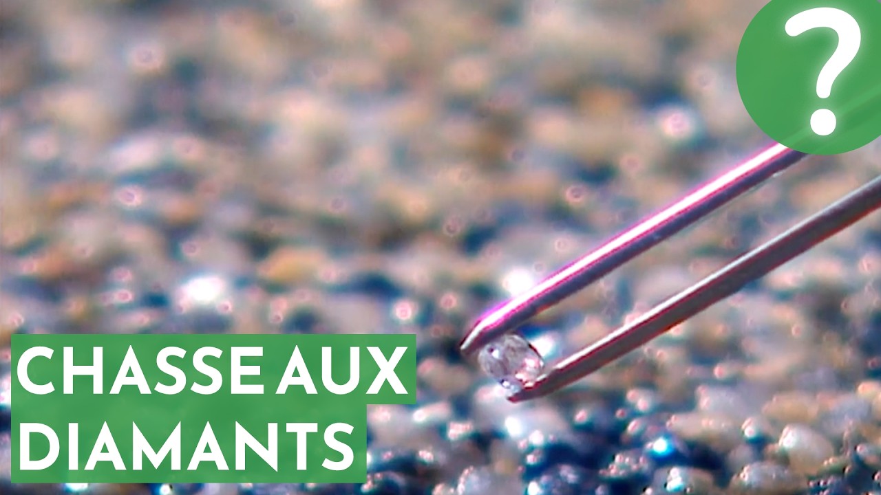 Chasse aux diamants : Le trésor enfoui sous l’océan