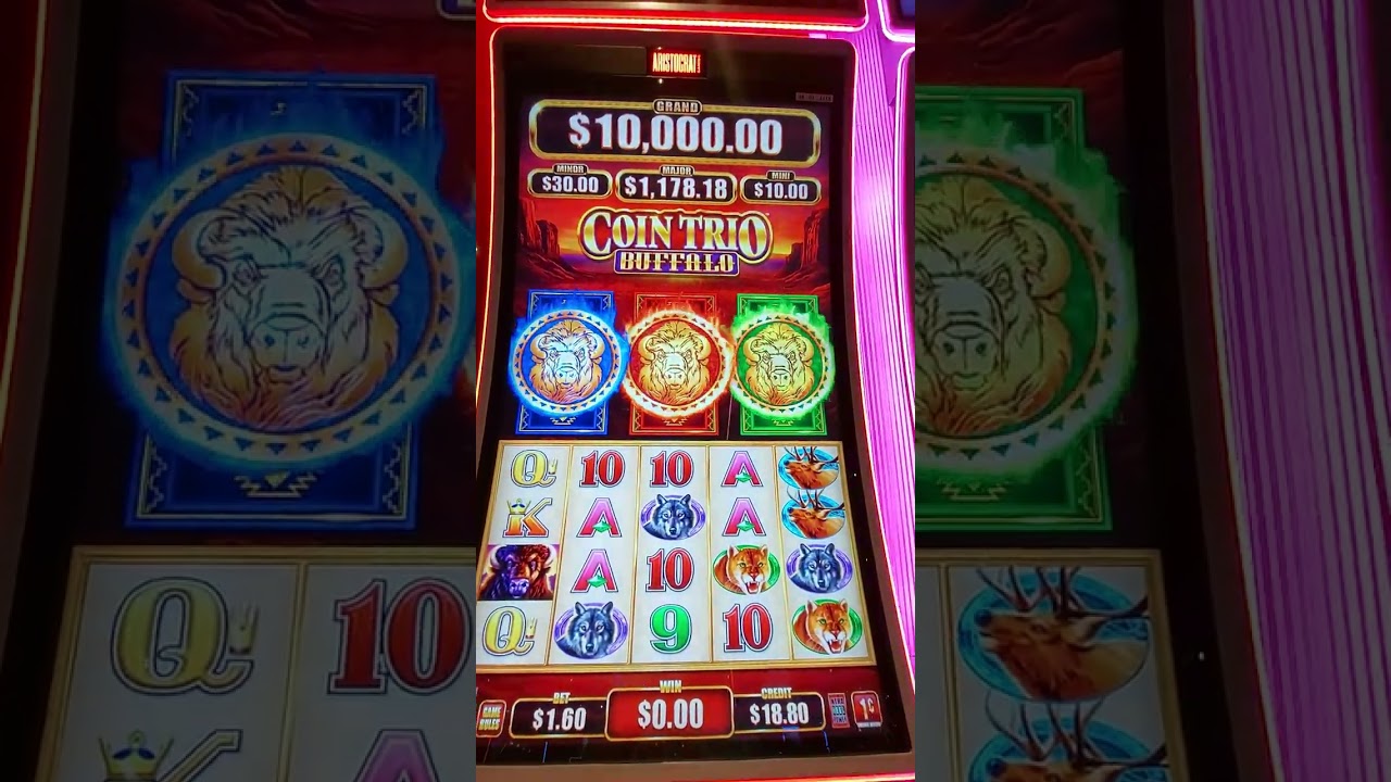 Coin Trio Buffalo slot - we won FREE games BONUSES!!! 👍👍👍👍👍