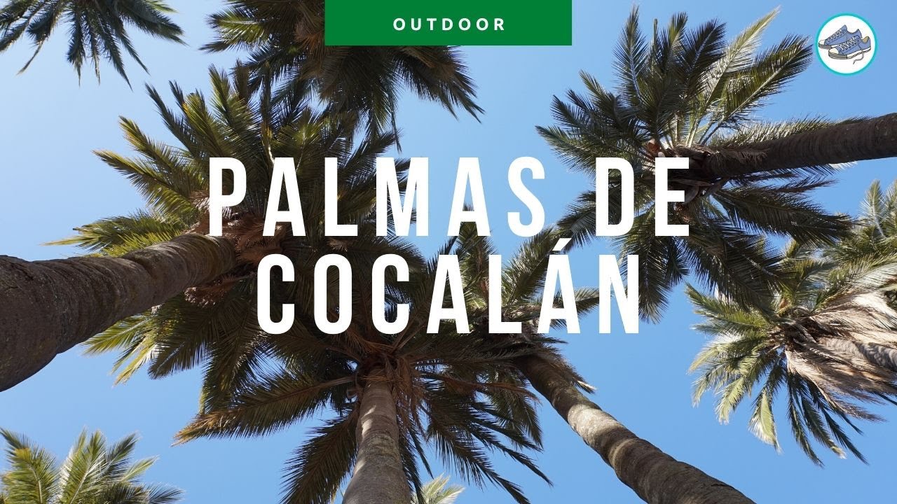 🌴 Conociendo LAS PALMAS DE COCALÁN 🌴