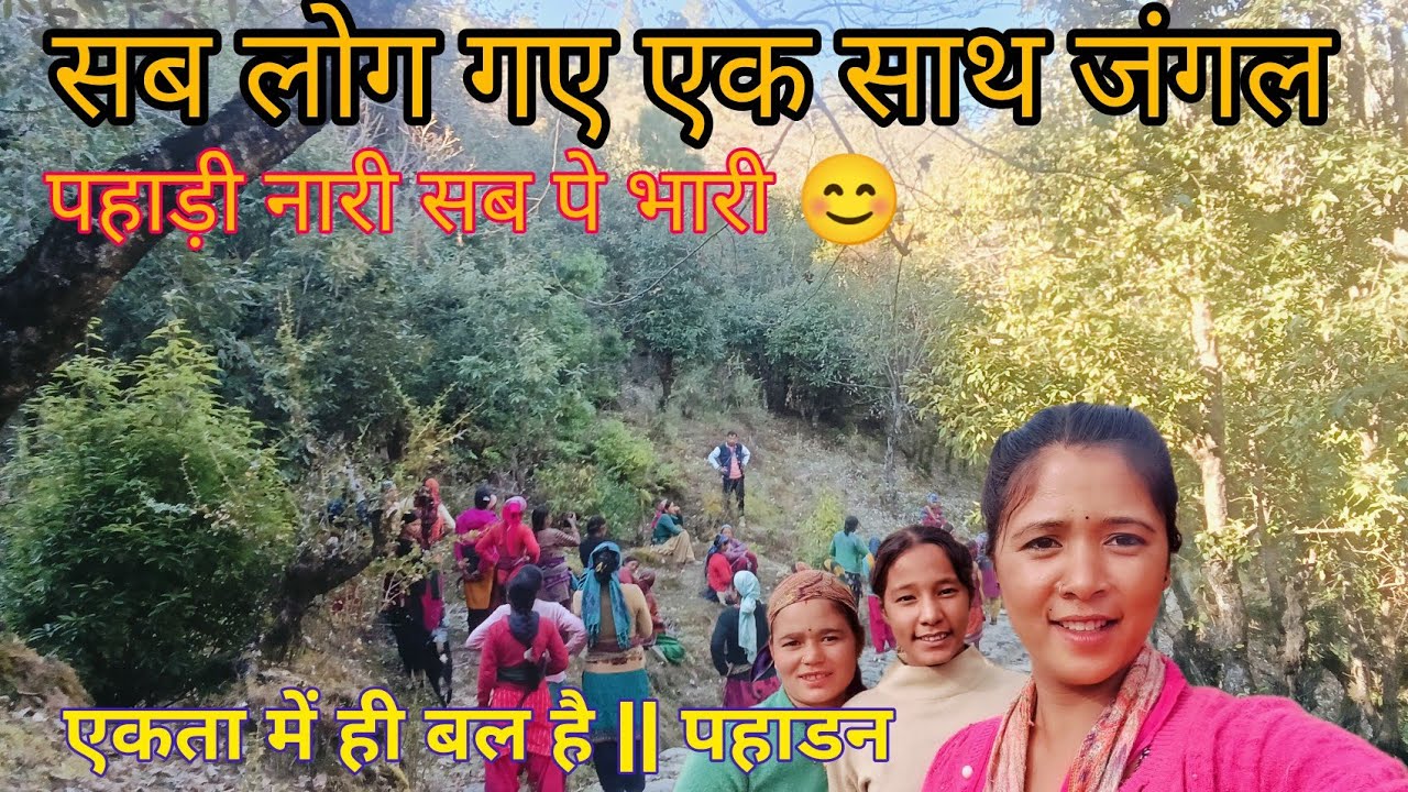 पूरे गांव की महिलाएं गई जंगल एक साथ !! सबके साथ मस्ती मजाक 😊#pahadi#vlog@Roshninegivlogs 