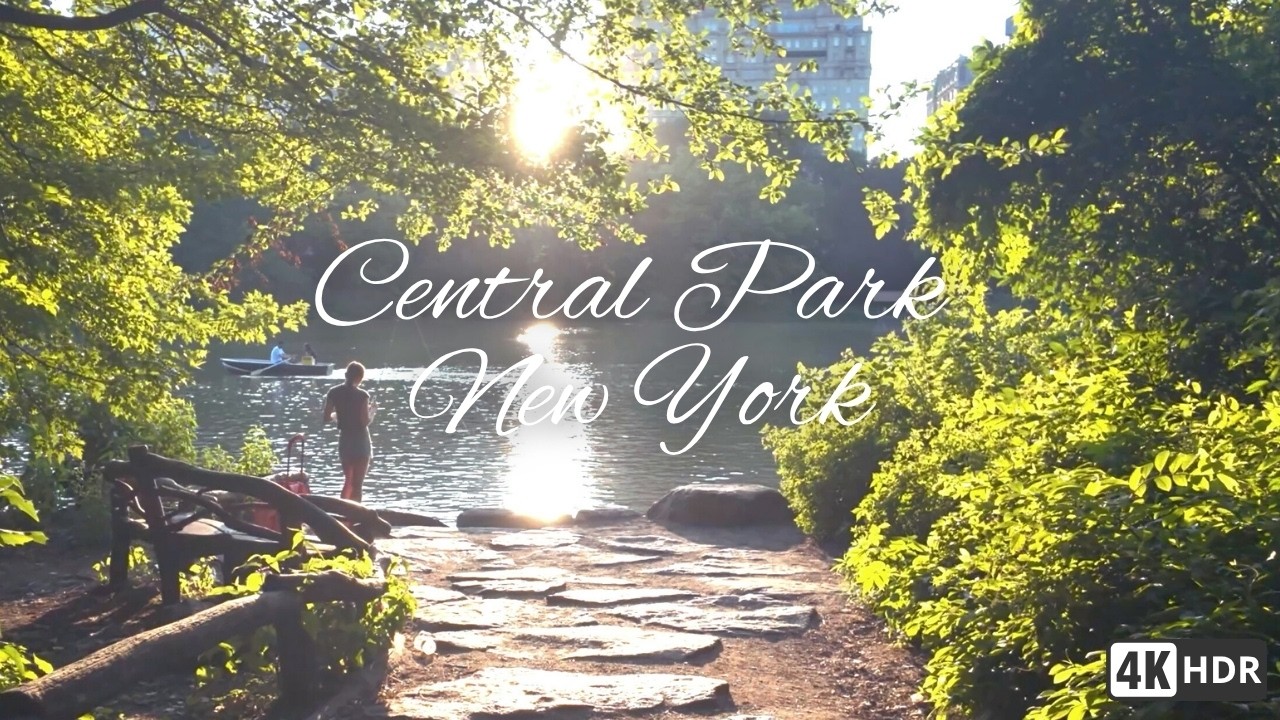 Golden Hour in Central Park 🌳 A Relaxing Walk in New York [4K]