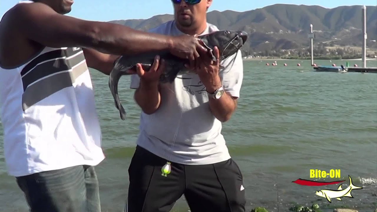 using BITE-ON Cajun attractant - what to use for CAT FISHING