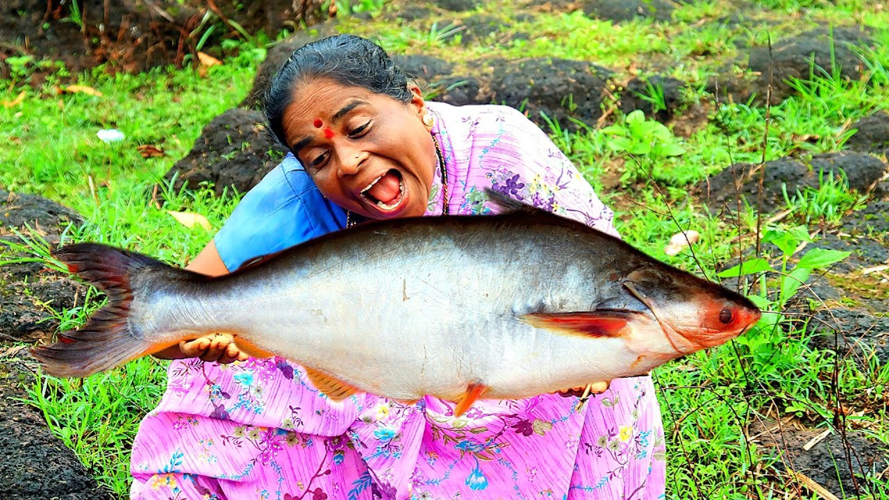 BASA FISH CURRY 🐟,🤤 || ಬಾಳೆ ಮೀನು ಸಾರು || ಮಲೆನಾಡು ಶೈಲಿಯಲ್ಲಿ ಅಡುಗೆ ಮಾಡುವ ವಿಧಾನ