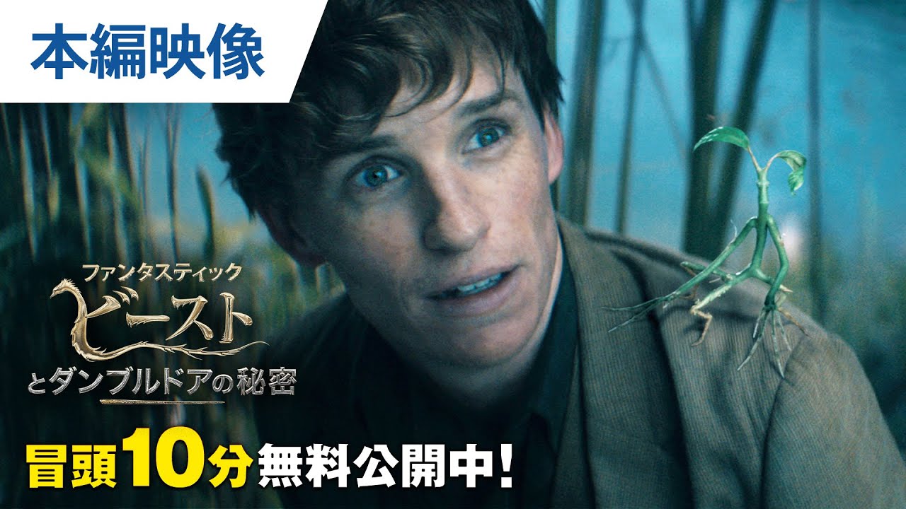 【無料冒頭10分映像】『ファンタスティック・ビーストとダンブルドアの秘密』デジタル配信中