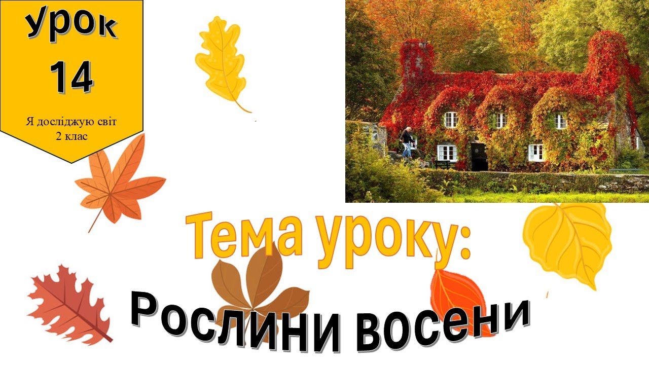 Рослини восени. Я досліджую світ 2 клас.