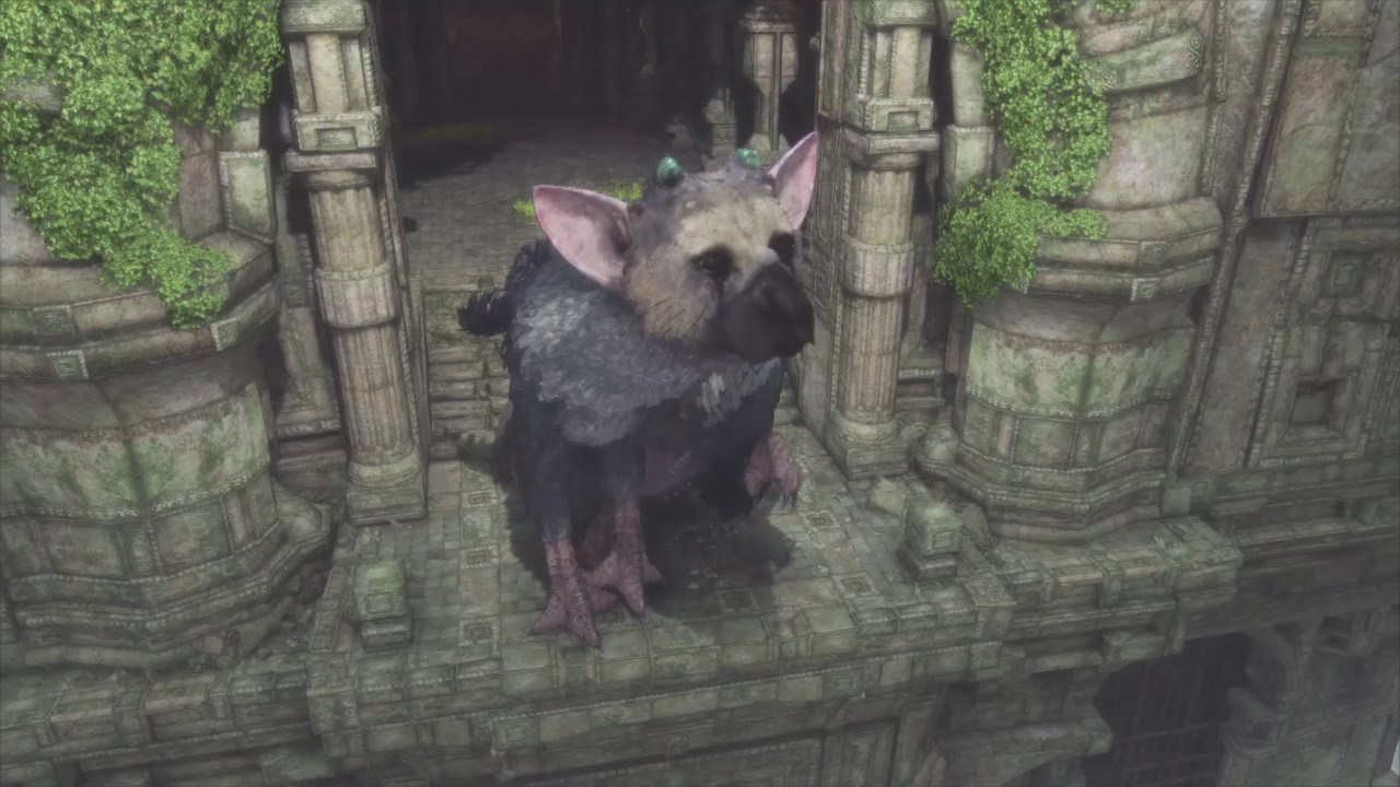 Trico's greatest secret (The Last Guardian)