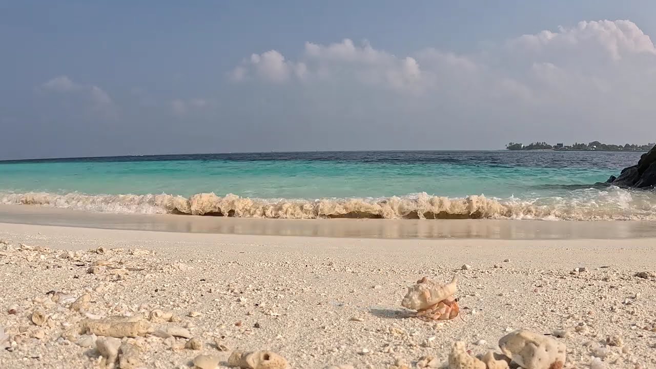 Шум моря, звуки морского прибоя