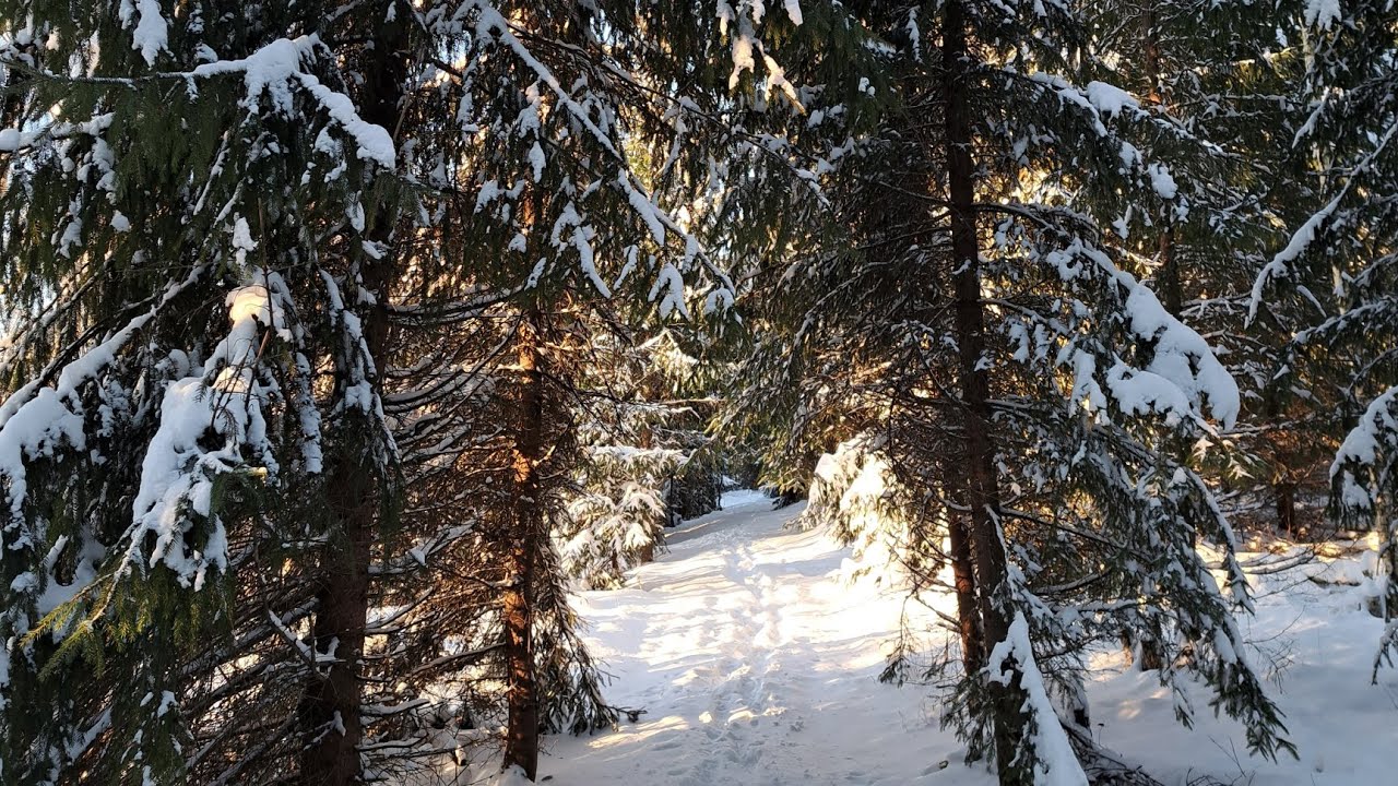 Vanntårnstien, fragmento de ruta nevada que no ha sido posible completar.
