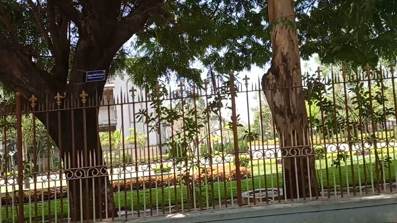 Pjtsau||college of agriculture Rajendranagar 🌱 || University auditorium ||