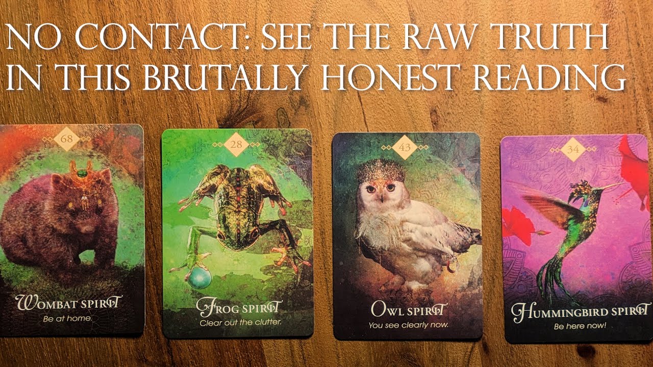 NO CONTACT: Witness the Raw Truth. 🔍 Brutally Honest  Pick a Card Tarot Reading. 💥Timeless