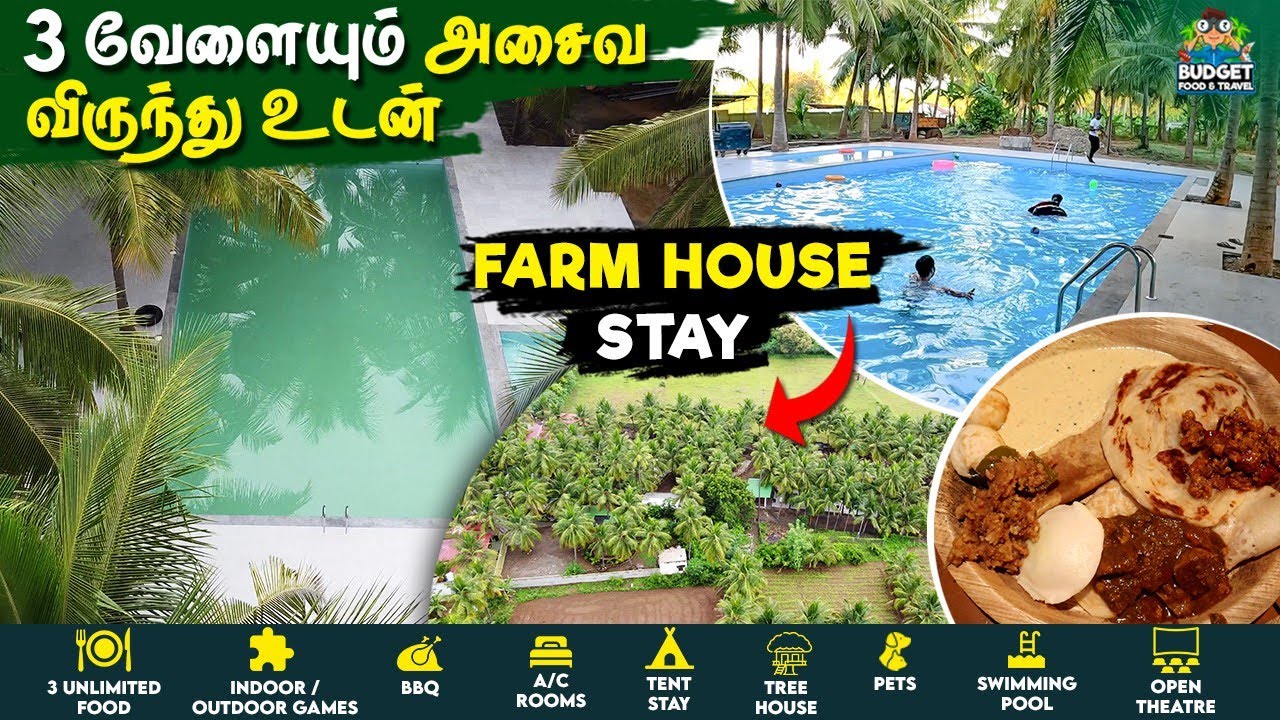 இயற்கை சூழலில் பல வசதிகளுடன் கூடிய தரமான FARM HOUSE STAY | ROYAL CASTLE FARM STAY| BEST VILLAGE STAY