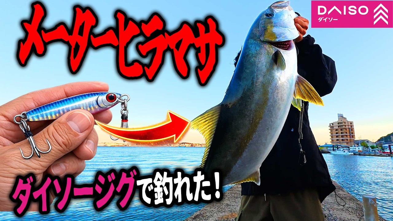 堤防から100円のジグ投げてコレですわぁｗｗ