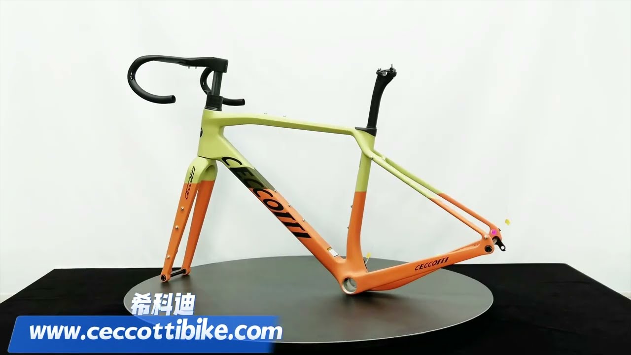 CECCOTTI GRAVEL DC025 CARBON BICYCLE FRAMERST