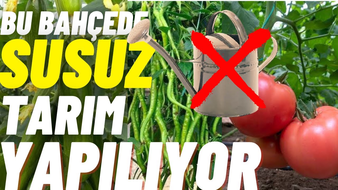 SUSUZ TARIM MI OLUR DEMEYİN DİNLEDİKTEN SONRA HAK VERECEKSİN...