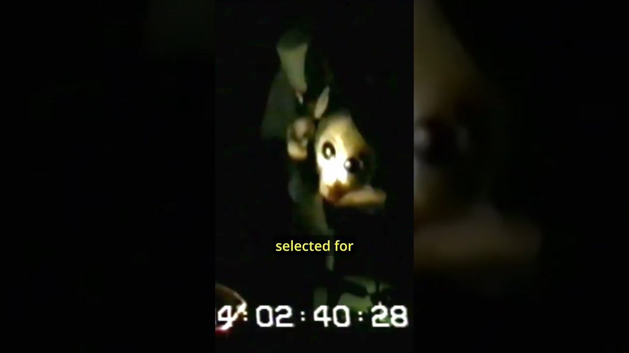 The Alien Interview released in 1997 - clip of alien in distress